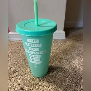 Mint Green Cat-Themed Tumbler